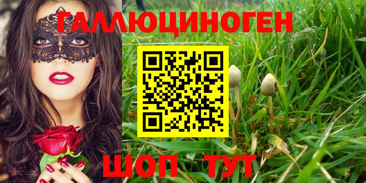Псилоцибиновые грибы MAGIC MUSHROOMS Мариинск