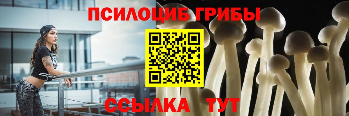 Псилоцибиновые грибы мухоморы  Псилоцибиновые грибы мухоморы  наркота  Мариинск  Вход с VPN 